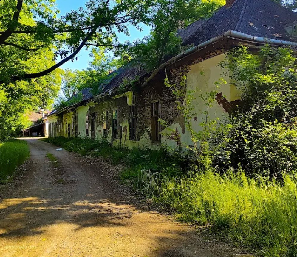 Vecsey Castle, Livada, Romania, Romania